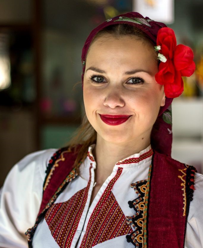 Macedonian translator